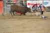 rodeo2.jpg (73590 bytes)