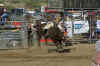 rodeo7.jpg (91911 bytes)