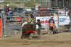 rodeo8.jpg (95788 bytes)